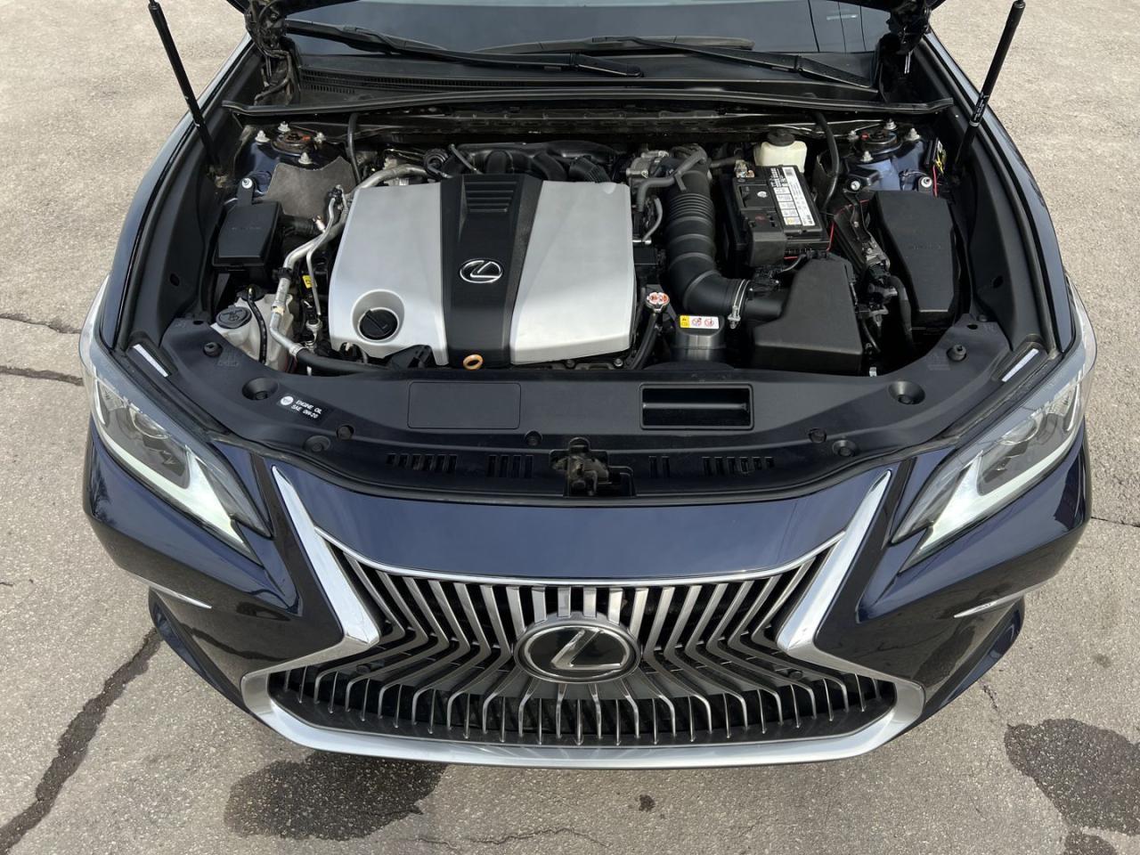 2019 Lexus ES 350 Luxury - Photo #8