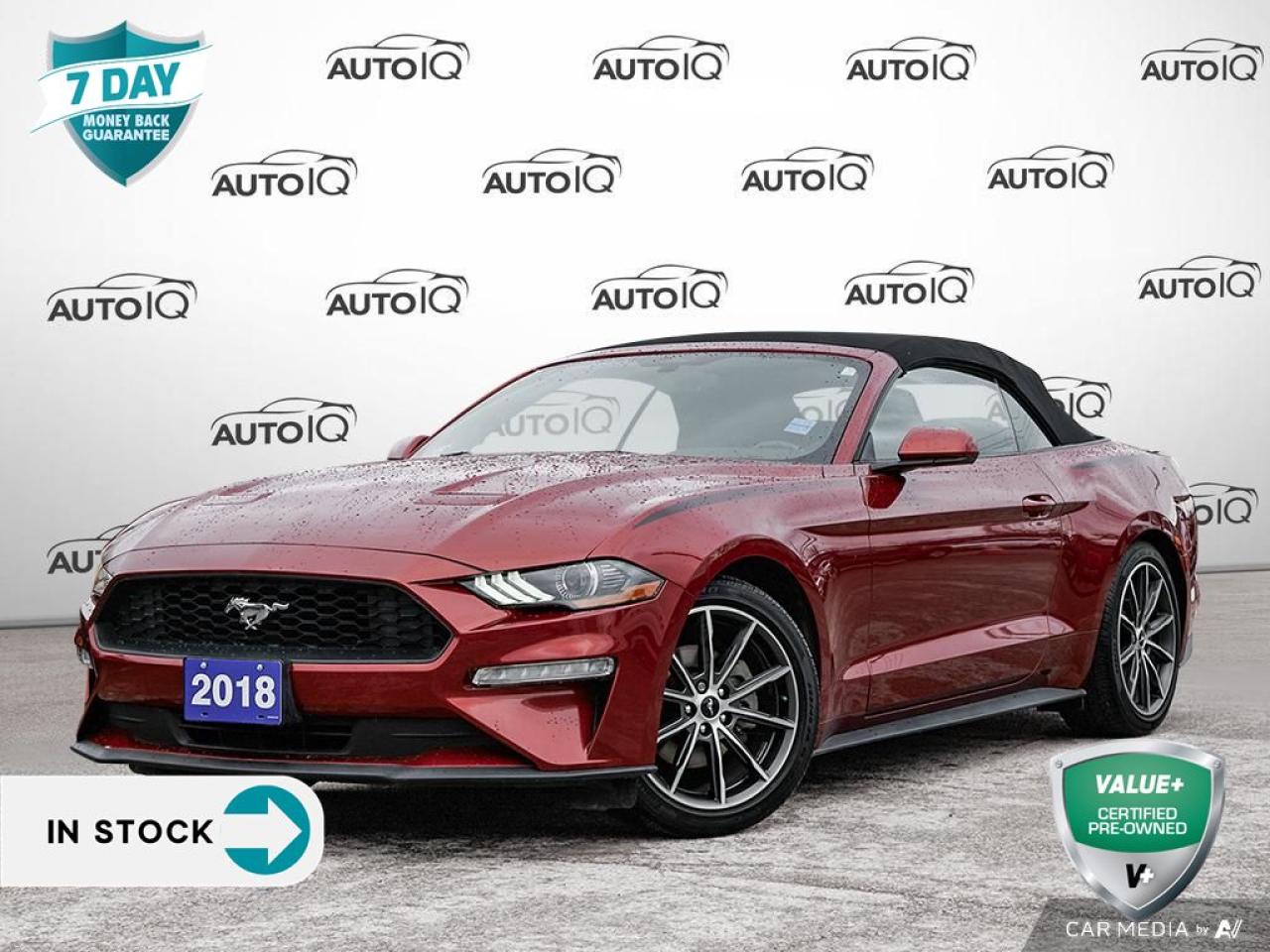 Used 2018 Ford Mustang EcoBoost CONVERTIBLE !!! for sale in St Catharines, ON