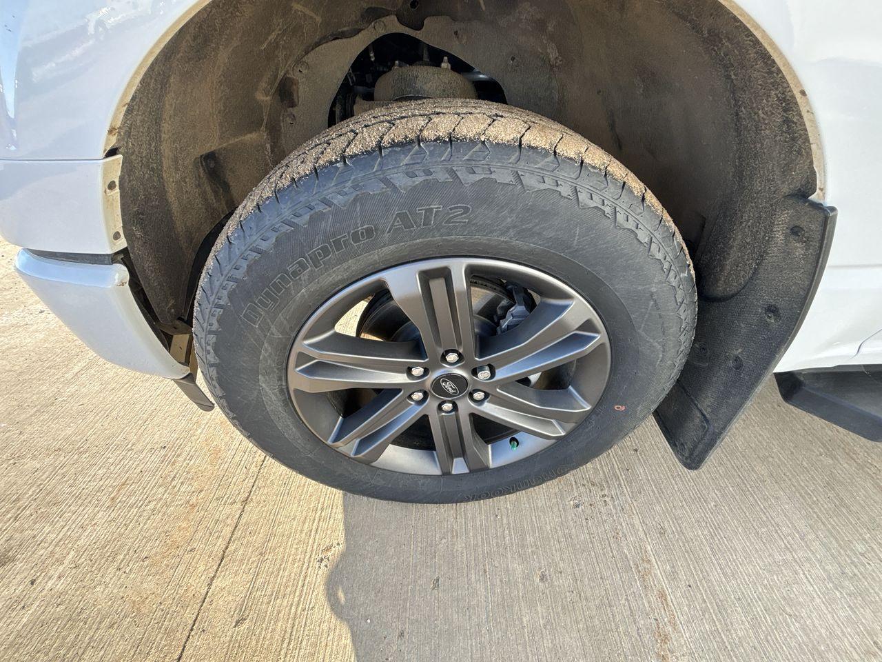 2023 Ford F-150 XLT 4WD SuperCrew 5.5' Box Photo5