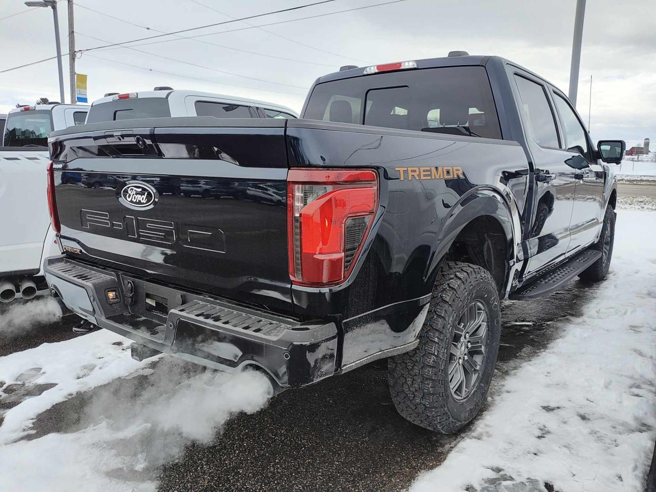 2025 Ford F-150 Tremor