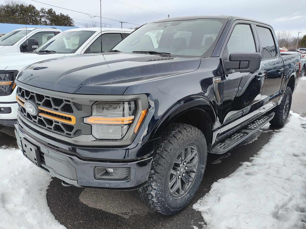 New 2025 Ford F-150 Tremor for sale in Pembroke, ON