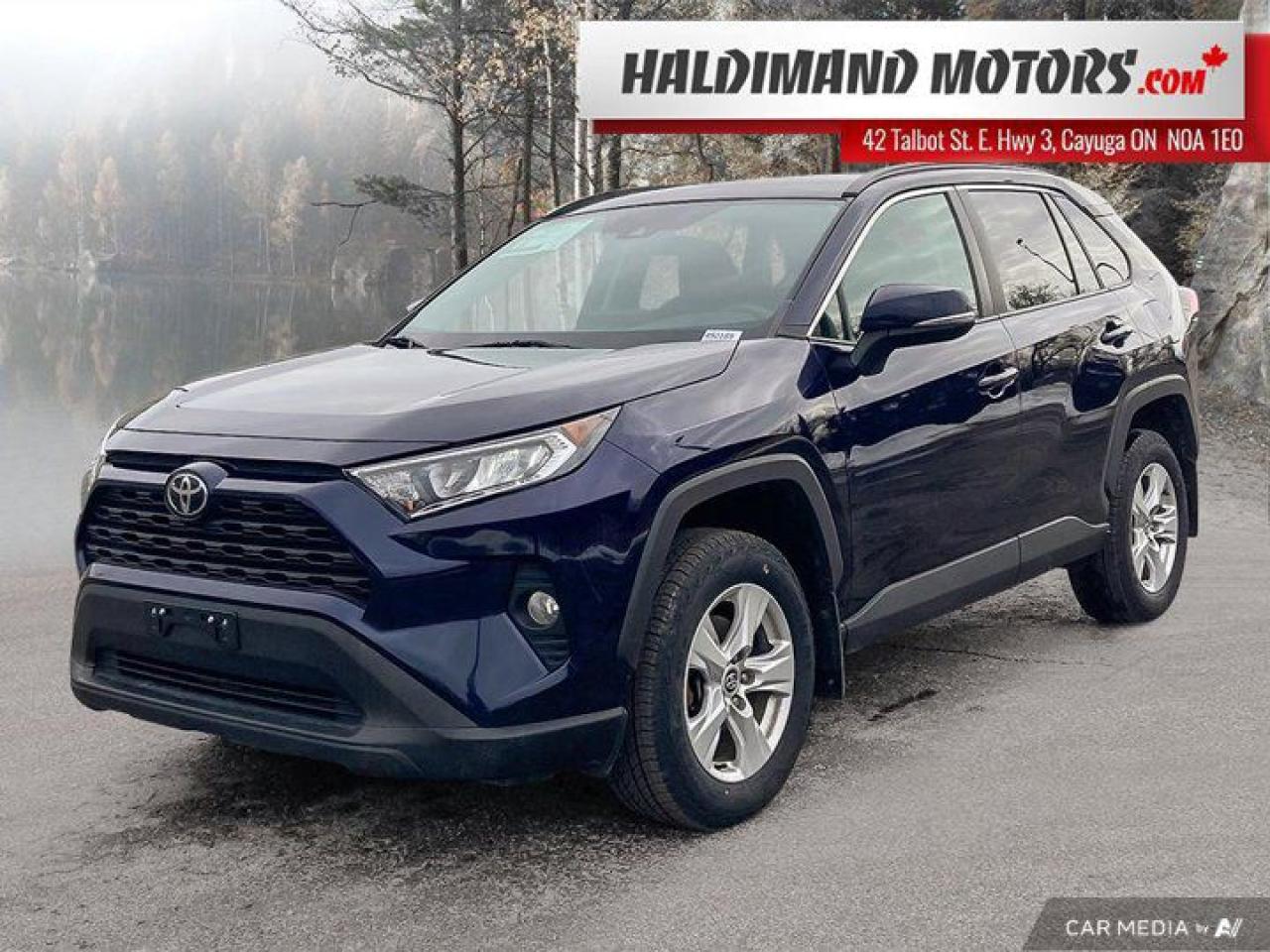 Used 2019 Toyota RAV4 XLE for sale in Cayuga, ON