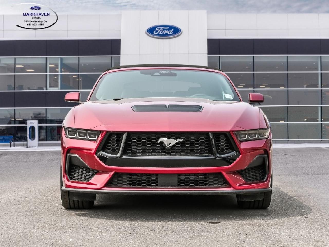 2025 Ford Mustang GT Premium Photo