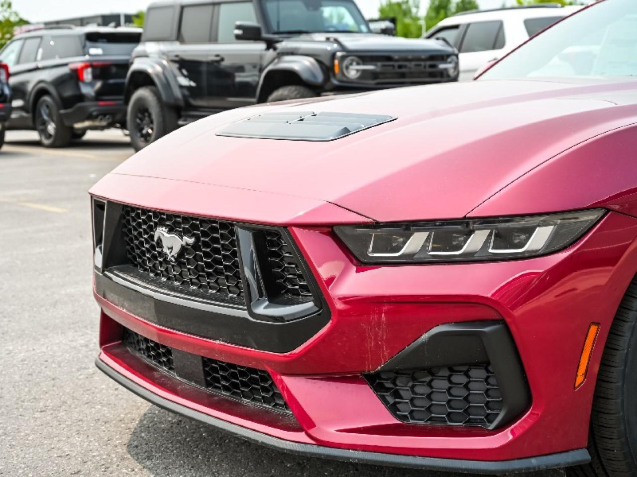 2025 Ford Mustang GT Premium Photo