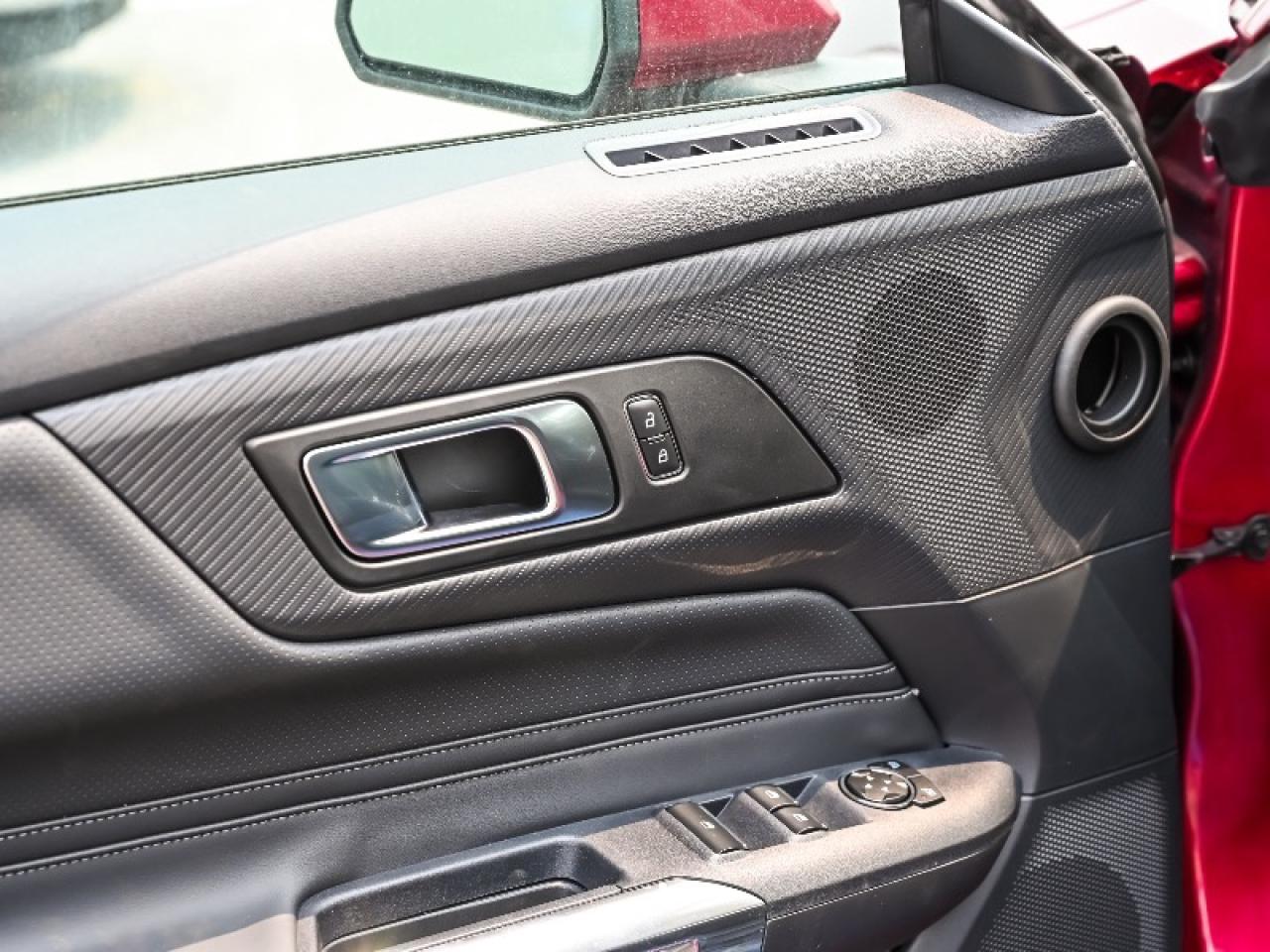 2025 Ford Mustang GT Premium Photo