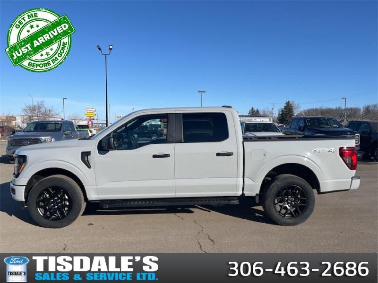 Used 2024 Ford F-150 STX  - Aluminum Wheels -  SYNC 4 for sale in Kindersley, SK