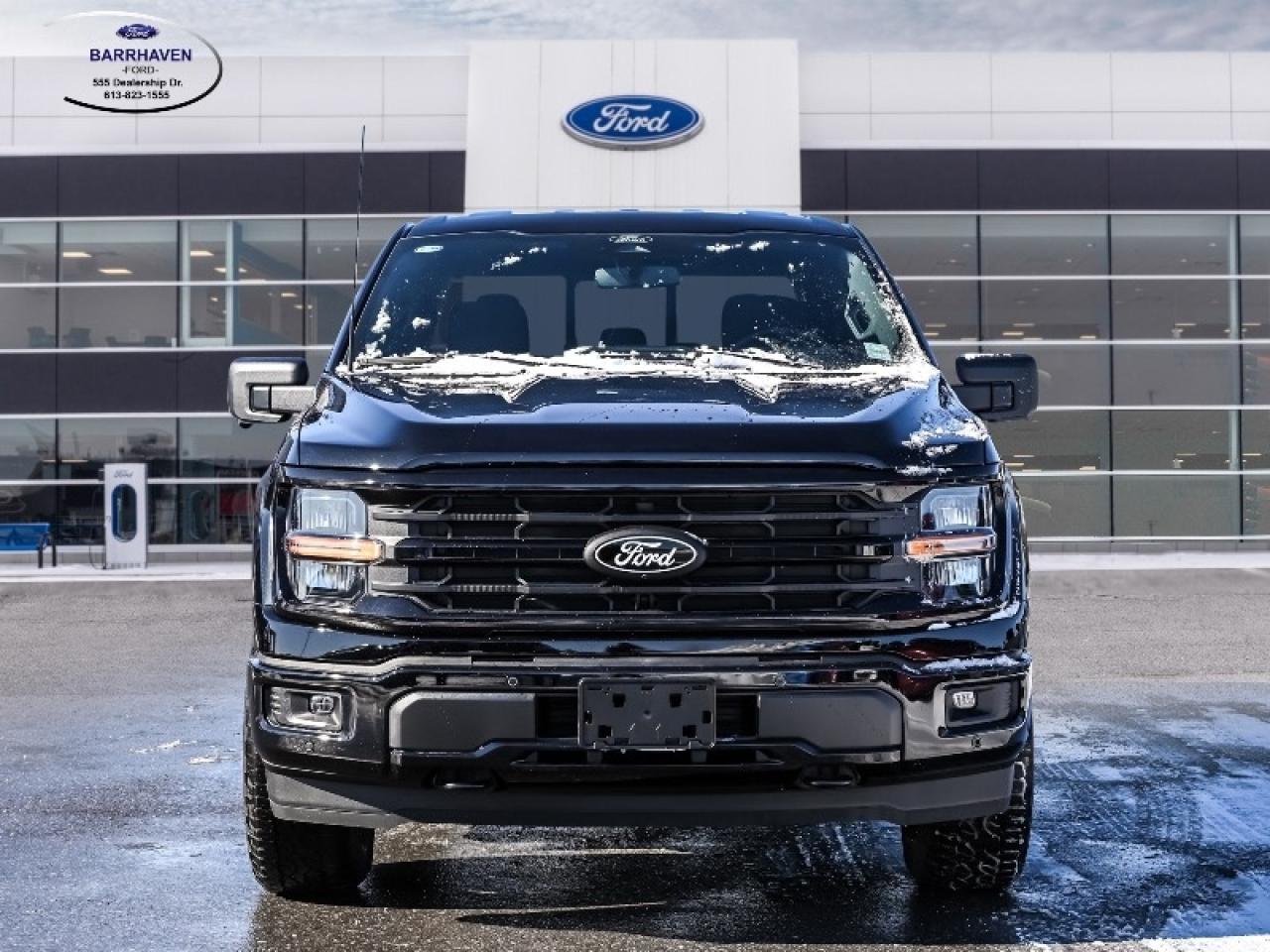 2025 Ford F-150 XLT Photo