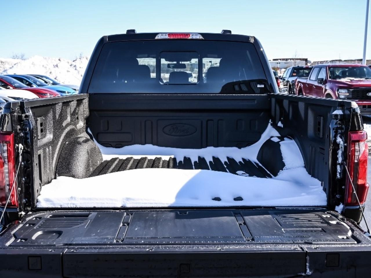 2025 Ford F-150 XLT Photo