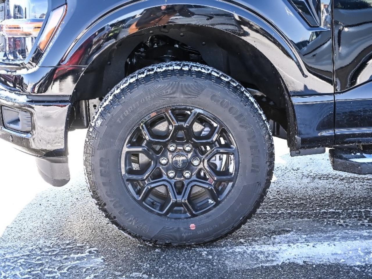 2025 Ford F-150 XLT Photo