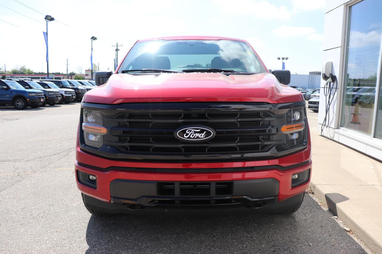 2025 Ford F-150 XLT 4WD SuperCrew 5.5' Box Photo4