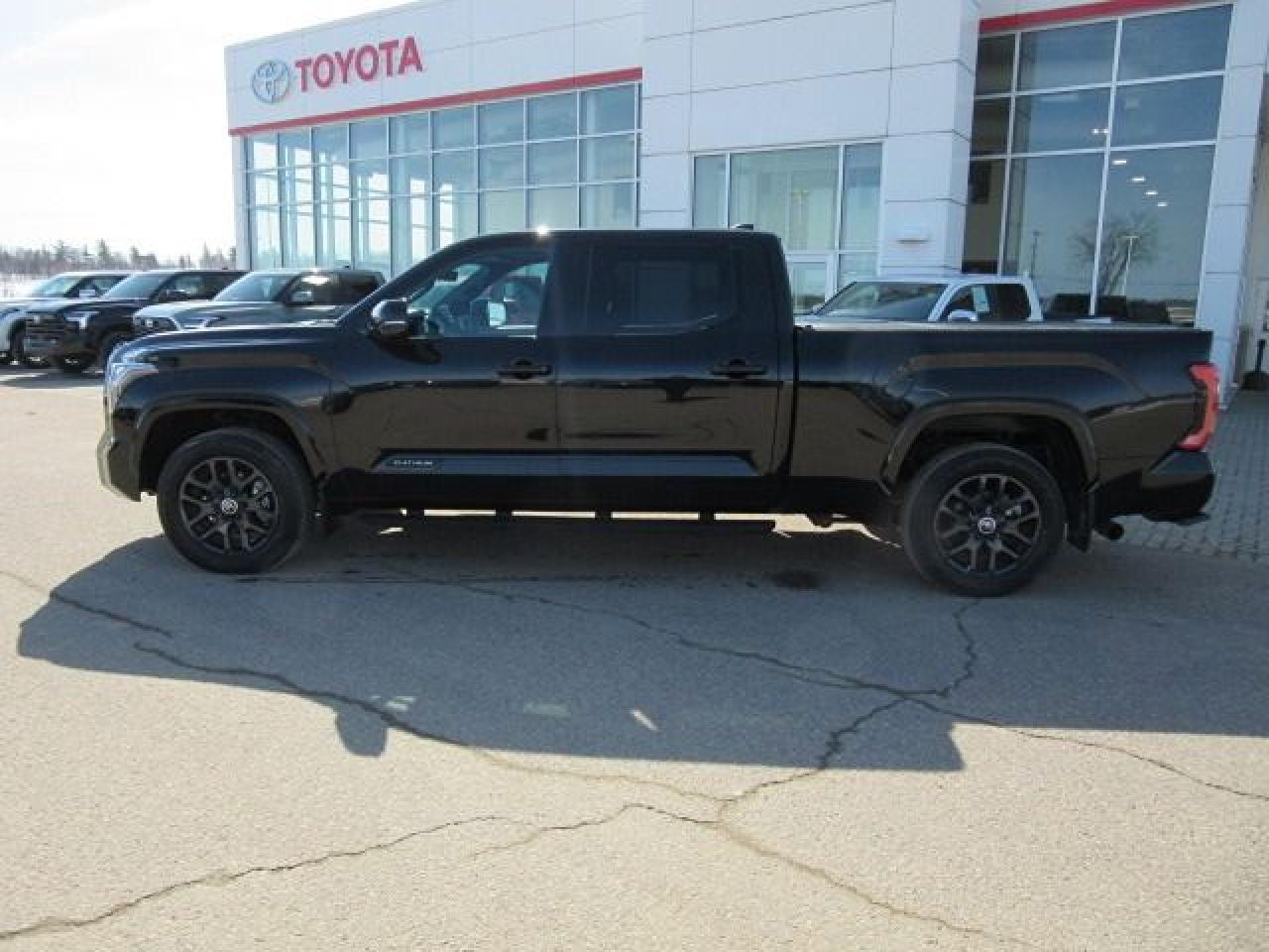 2024 Toyota Tundra Platinum - Photo #2