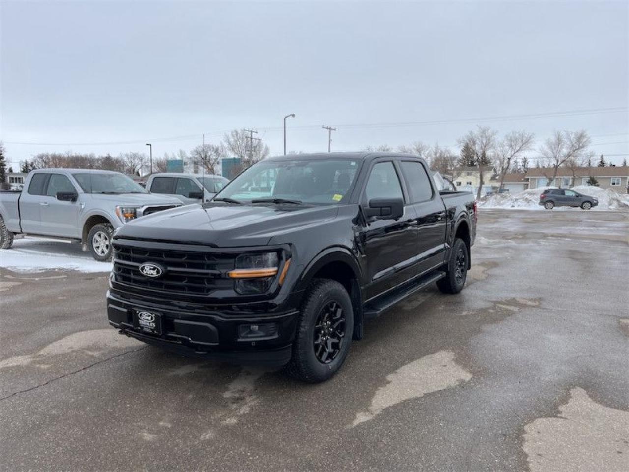 2025 Ford F-150 XLT  - 18" Wheels Photo4