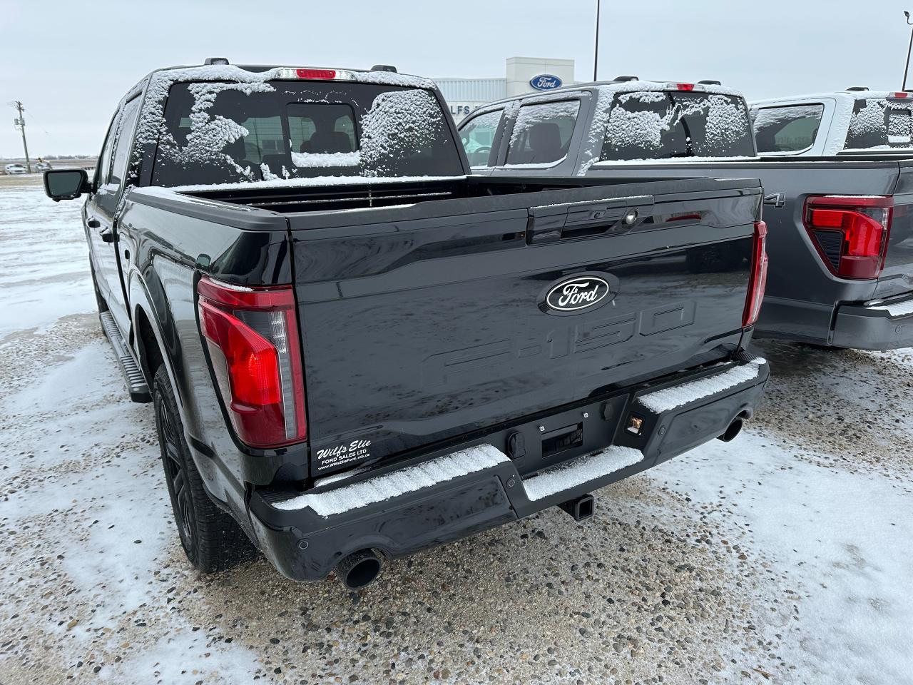 2025 Ford F-150 XLT 4WD SuperCrew 5.5' Box Photo3