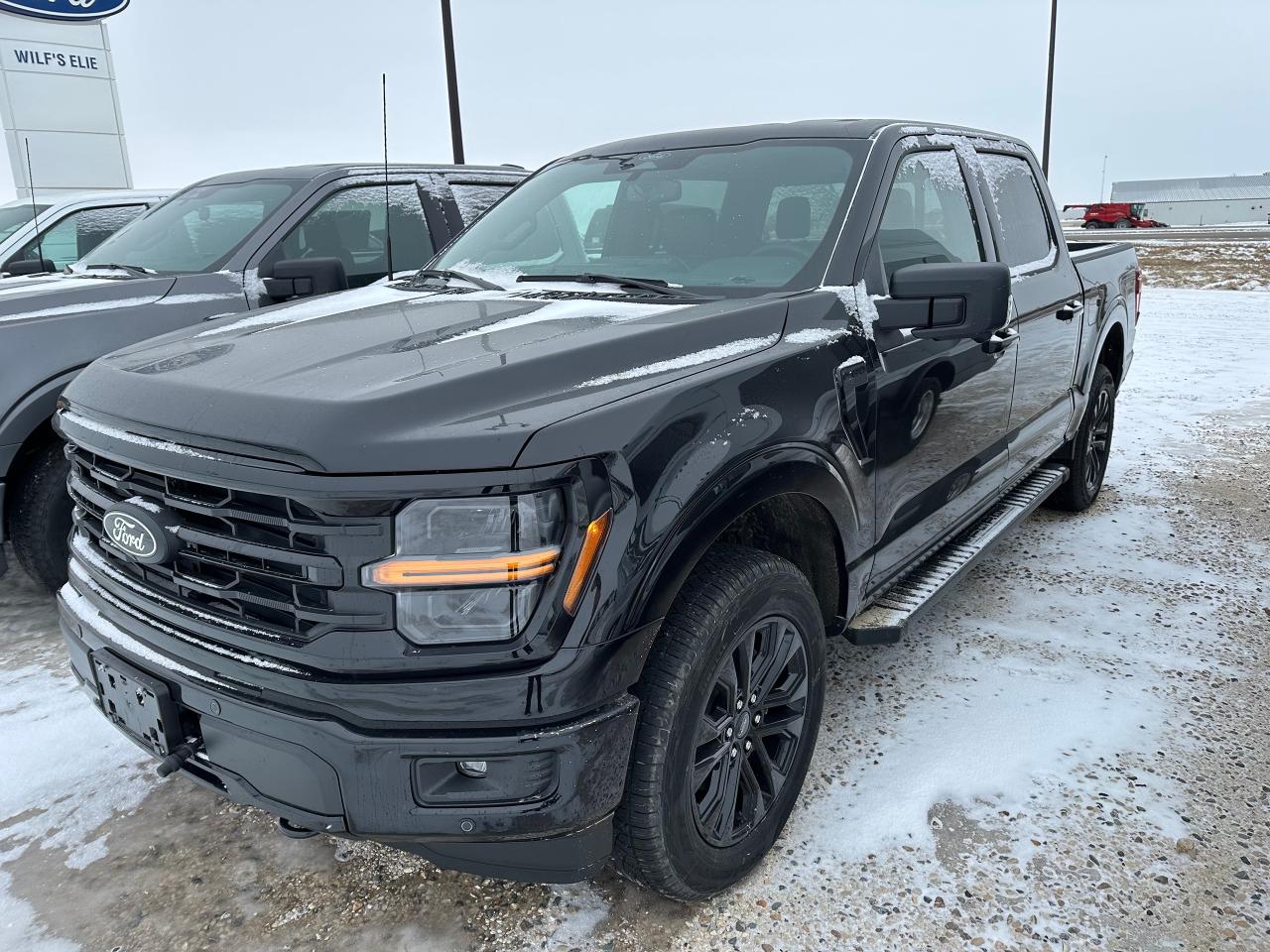 New 2025 Ford F-150 XLT 4WD SUPERCREW 5.5' BOX for sale in Elie, MB