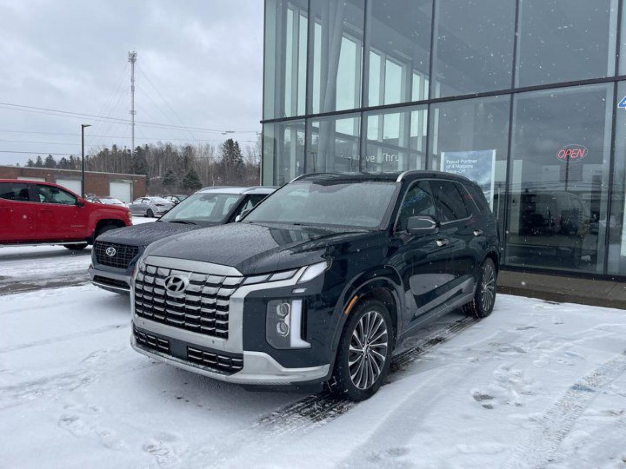 Used 2023 Hyundai PALISADE Ultimate Calligraphy for sale in Grand Falls-Windsor, NL