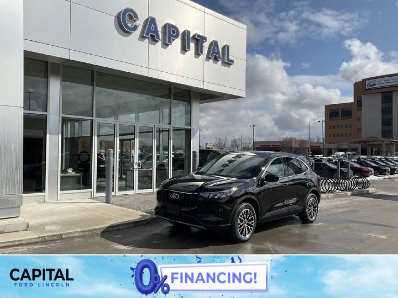 New 2025 Ford Escape PHEV for sale in Winnipeg, MB