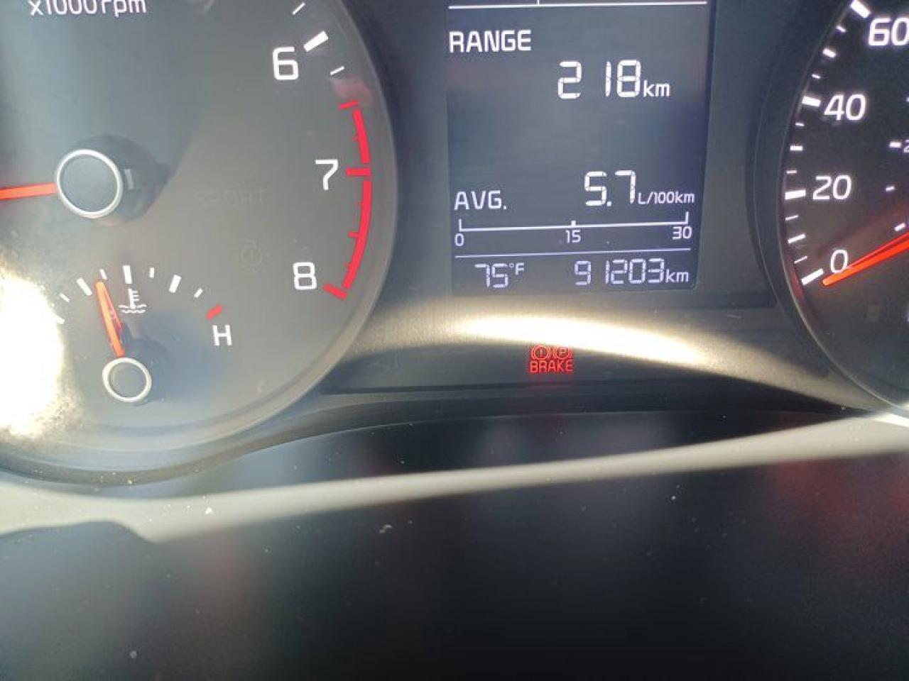 12255538