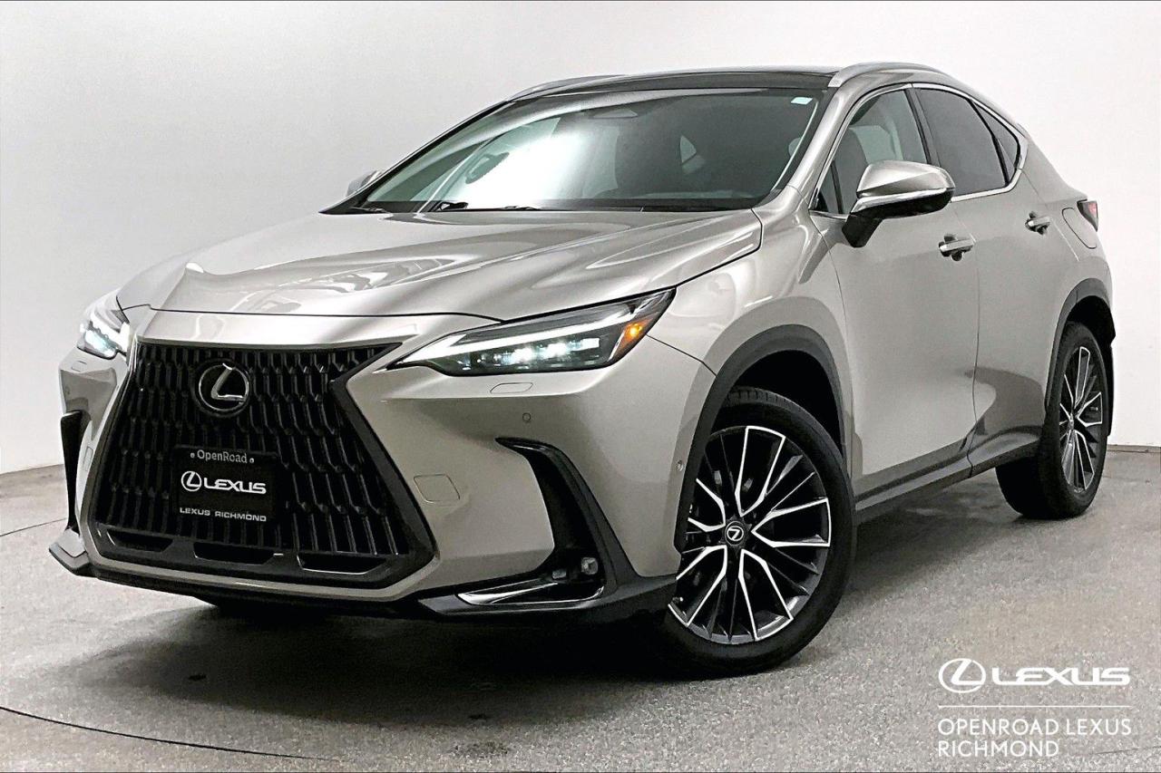 Used 2022 Lexus NX h NX 350h for sale in Richmond, BC