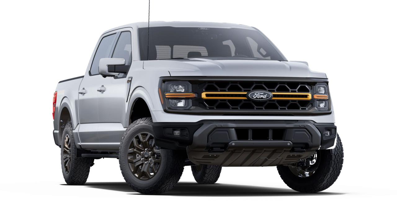 2025 Ford F-150 Tremor Photo3