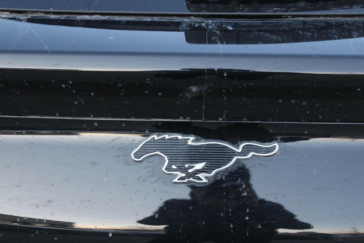 2023 Ford Mustang Mach-E Premium AWD - Photo #8