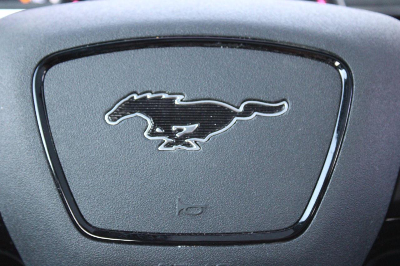 2023 Ford Mustang Mach-E Premium AWD - Photo #22