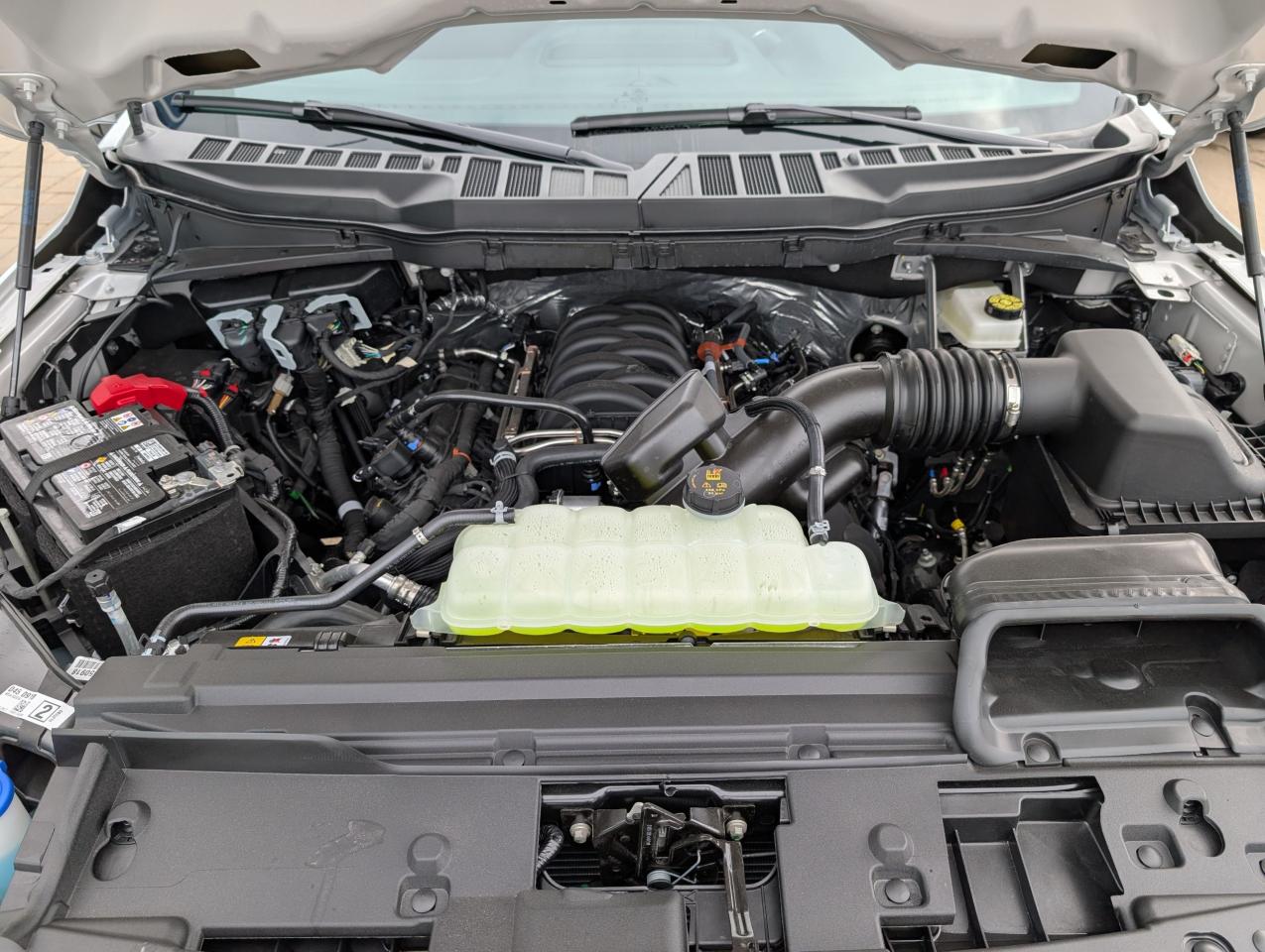 2025 Ford F-150 STX Photo5