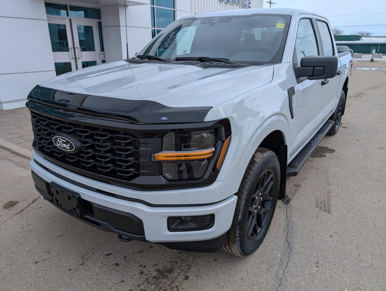 2025 Ford F-150 STX Photo5