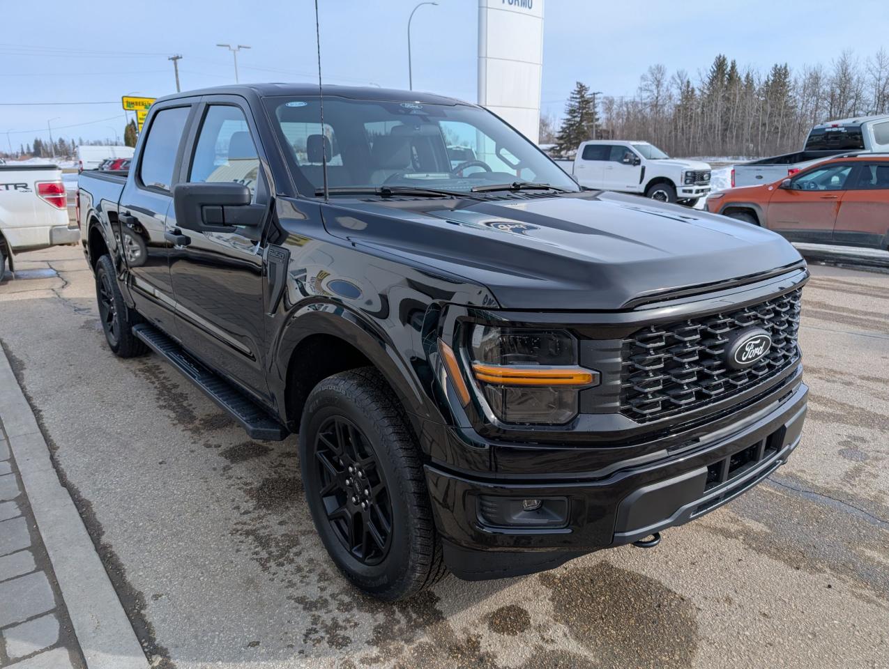 2025 Ford F-150 STX Photo5