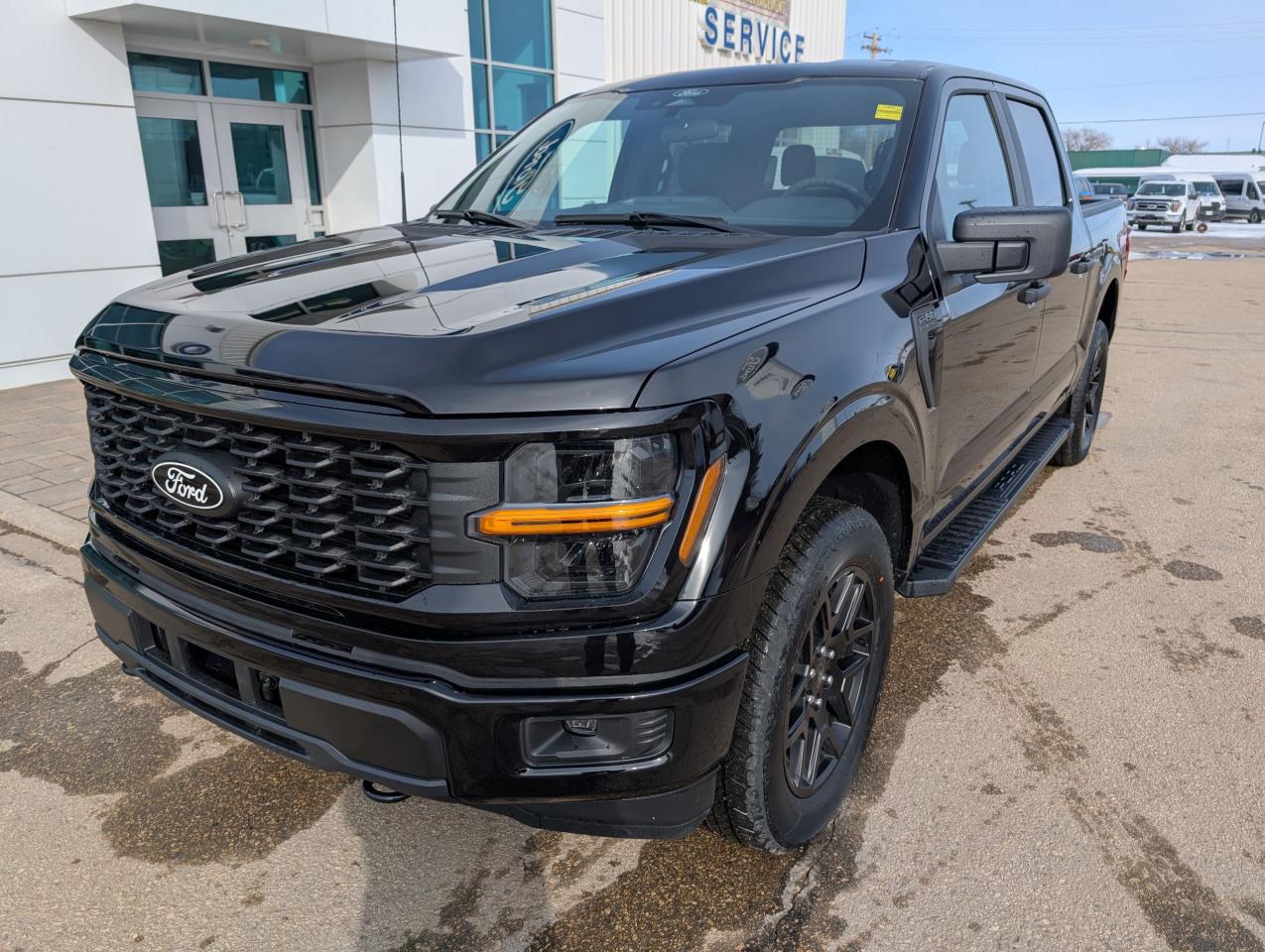 2025 Ford F-150 STX Photo5