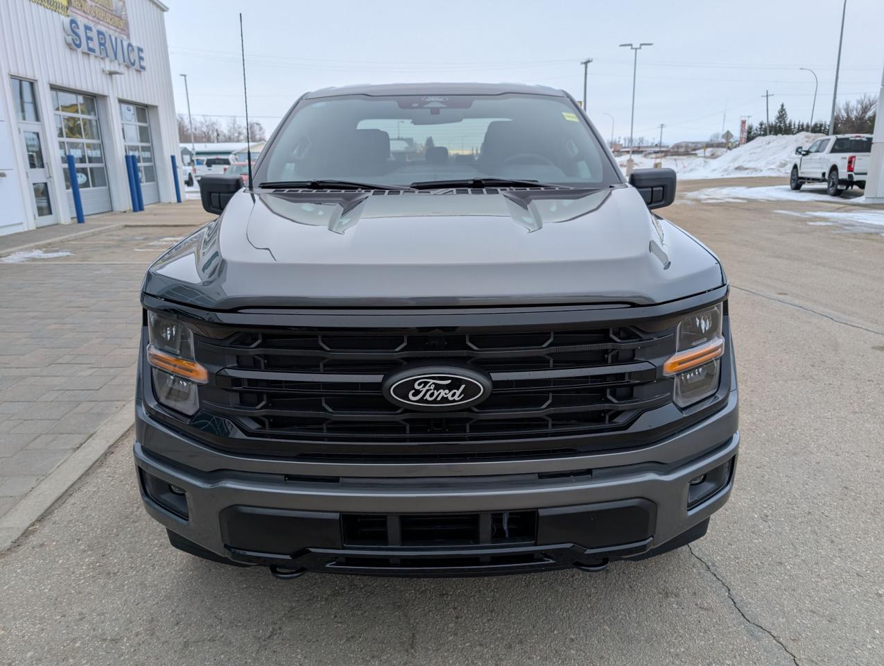 2025 Ford F-150 XLT Photo