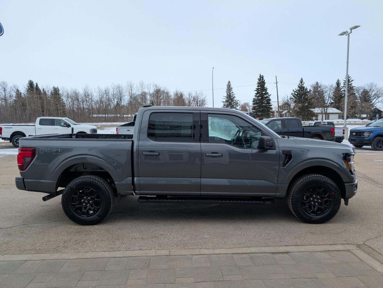 2025 Ford F-150 XLT Photo4