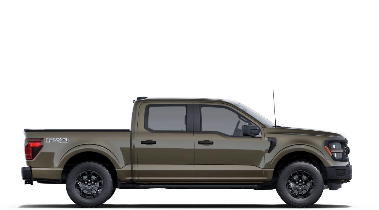 2025 Ford F-150 STX Photo4