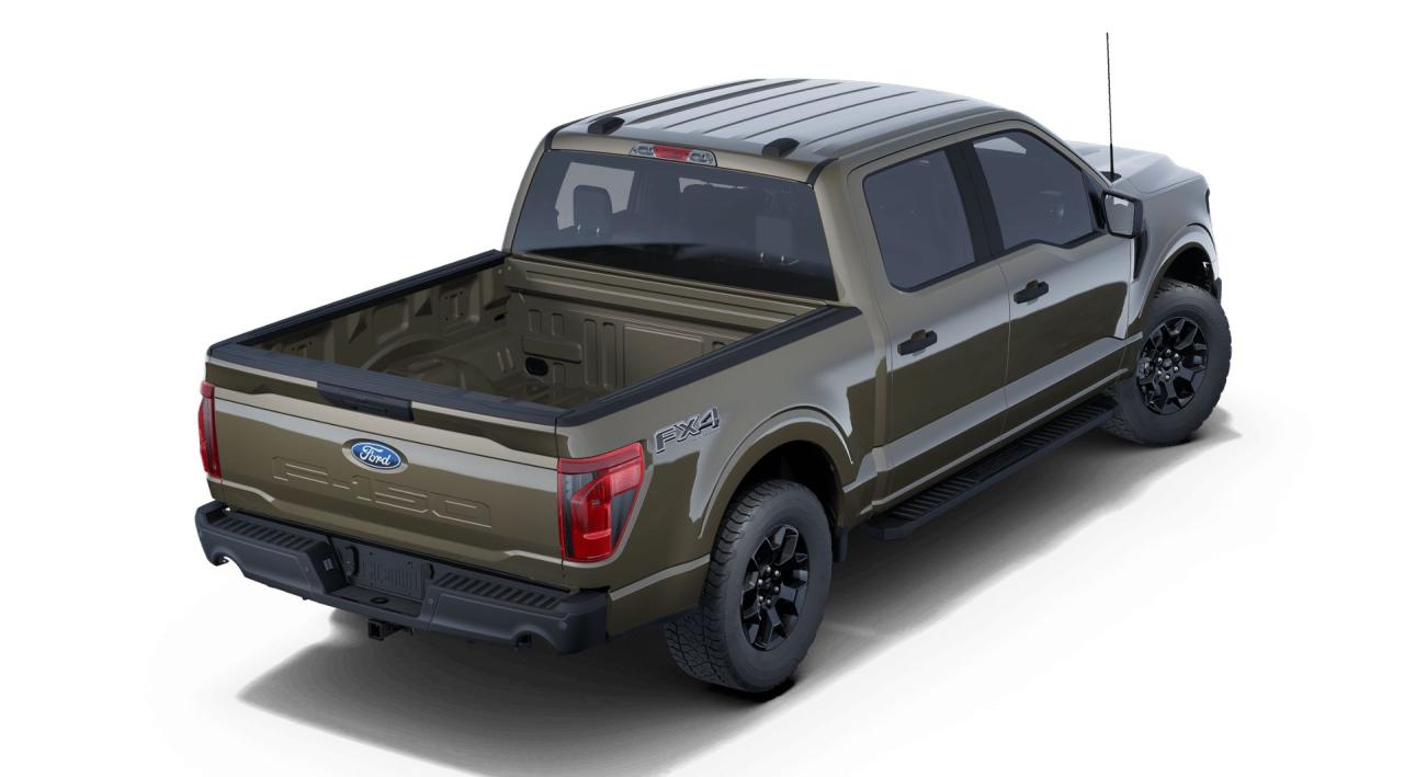 2025 Ford F-150 STX Photo