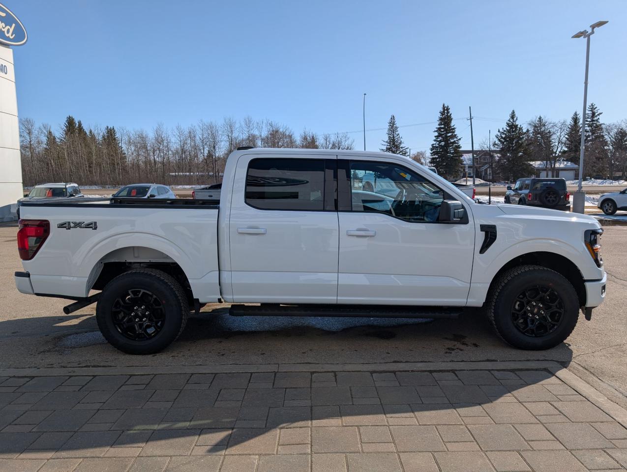 2025 Ford F-150 XLT Photo5