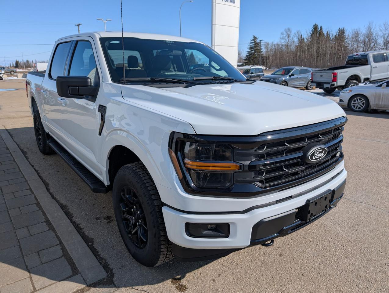 2025 Ford F-150 XLT Photo