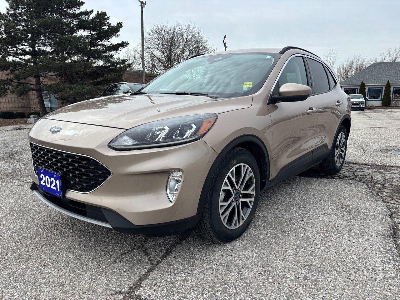 Used 2021 Ford Escape SEL for sale in Essex, ON