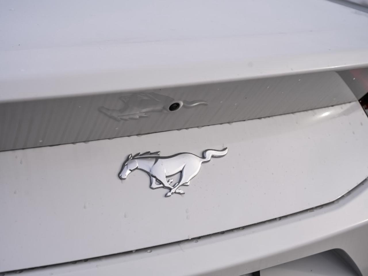 2025 Ford Mustang EcoBoost Photo4