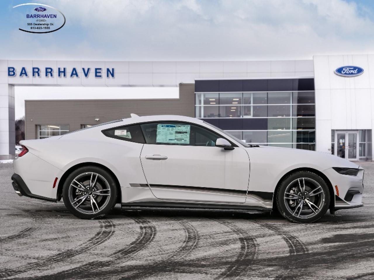 2025 Ford Mustang EcoBoost Photo