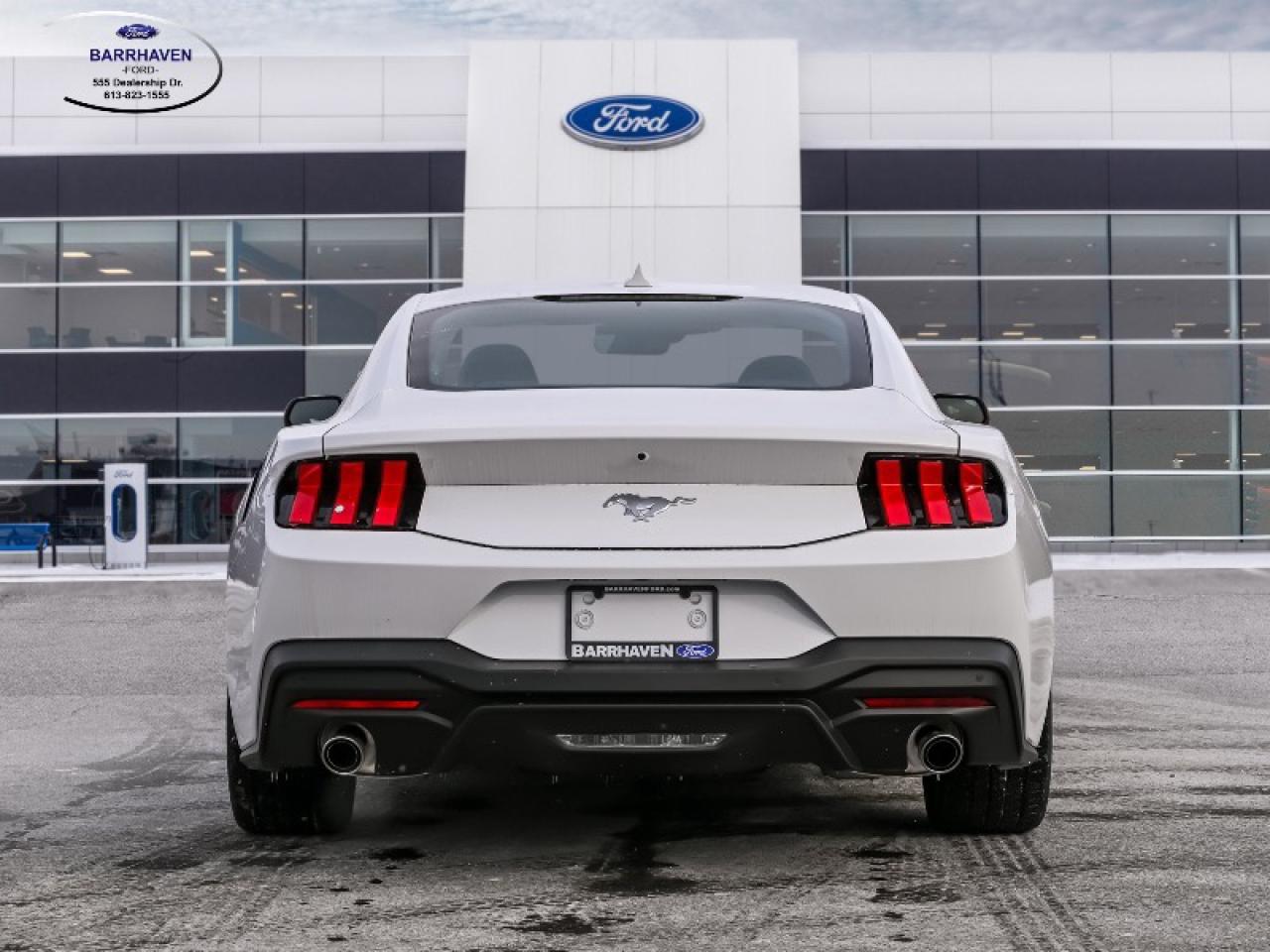 2025 Ford Mustang EcoBoost Photo