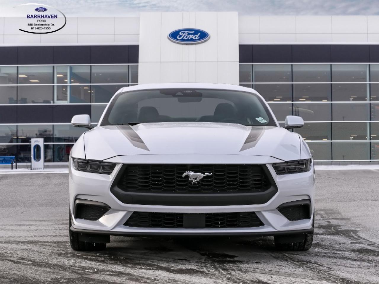 2025 Ford Mustang EcoBoost Photo