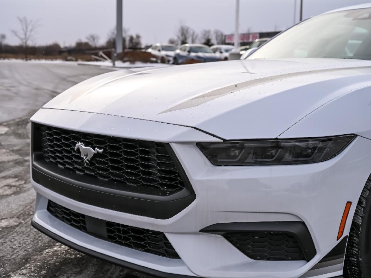 2025 Ford Mustang EcoBoost Photo