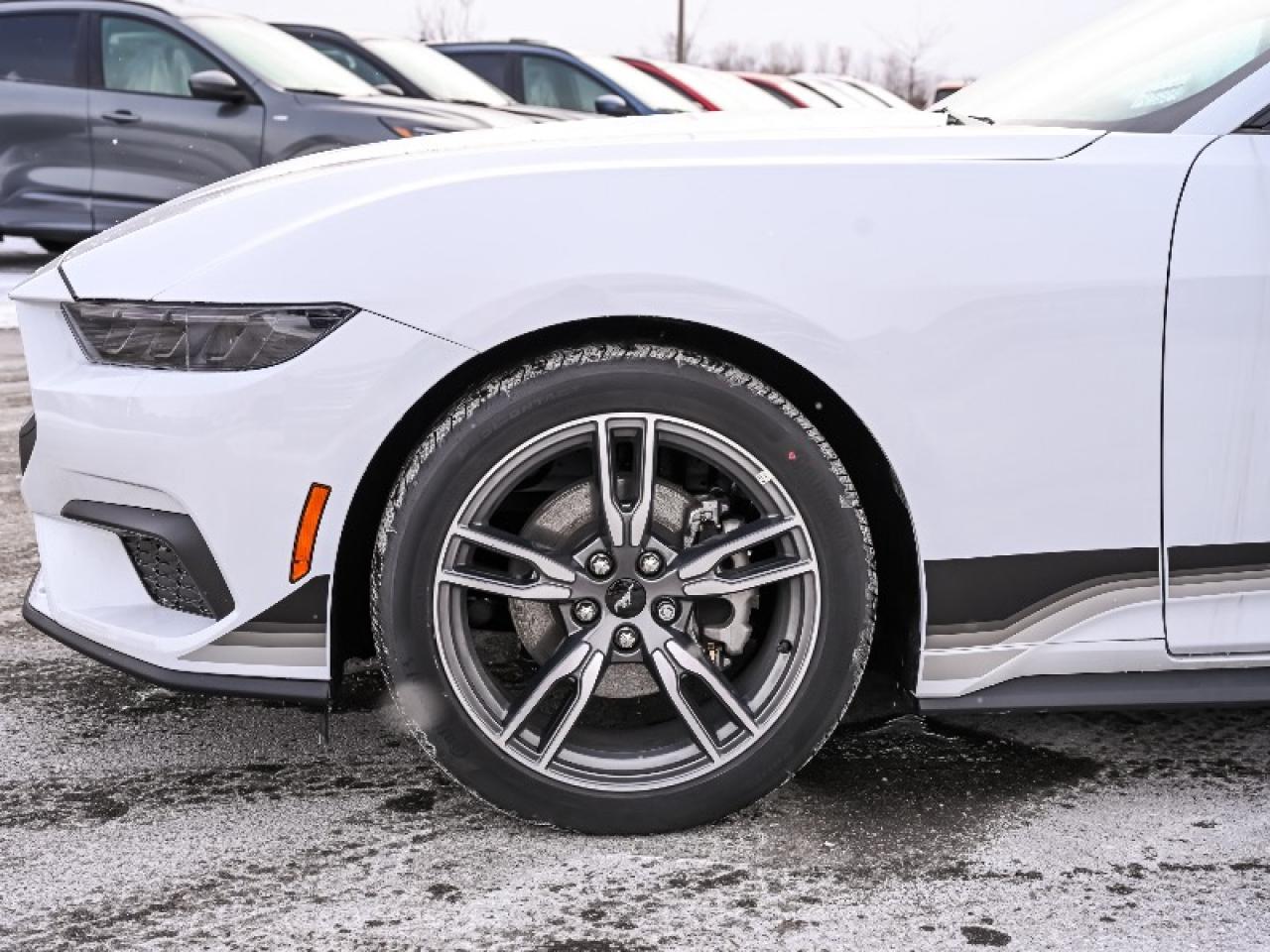 2025 Ford Mustang EcoBoost Photo