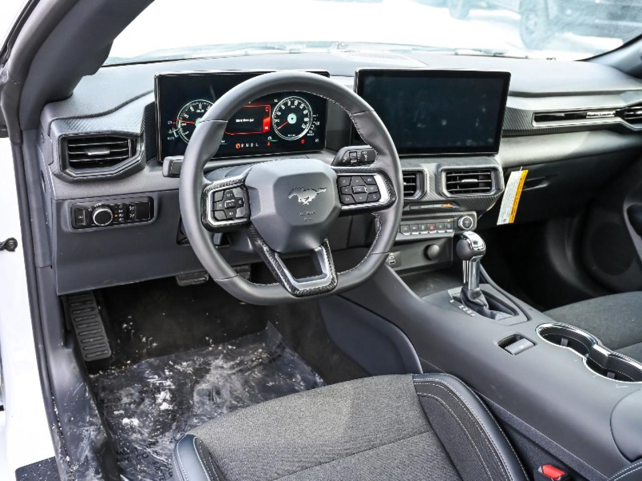 2025 Ford Mustang EcoBoost Photo