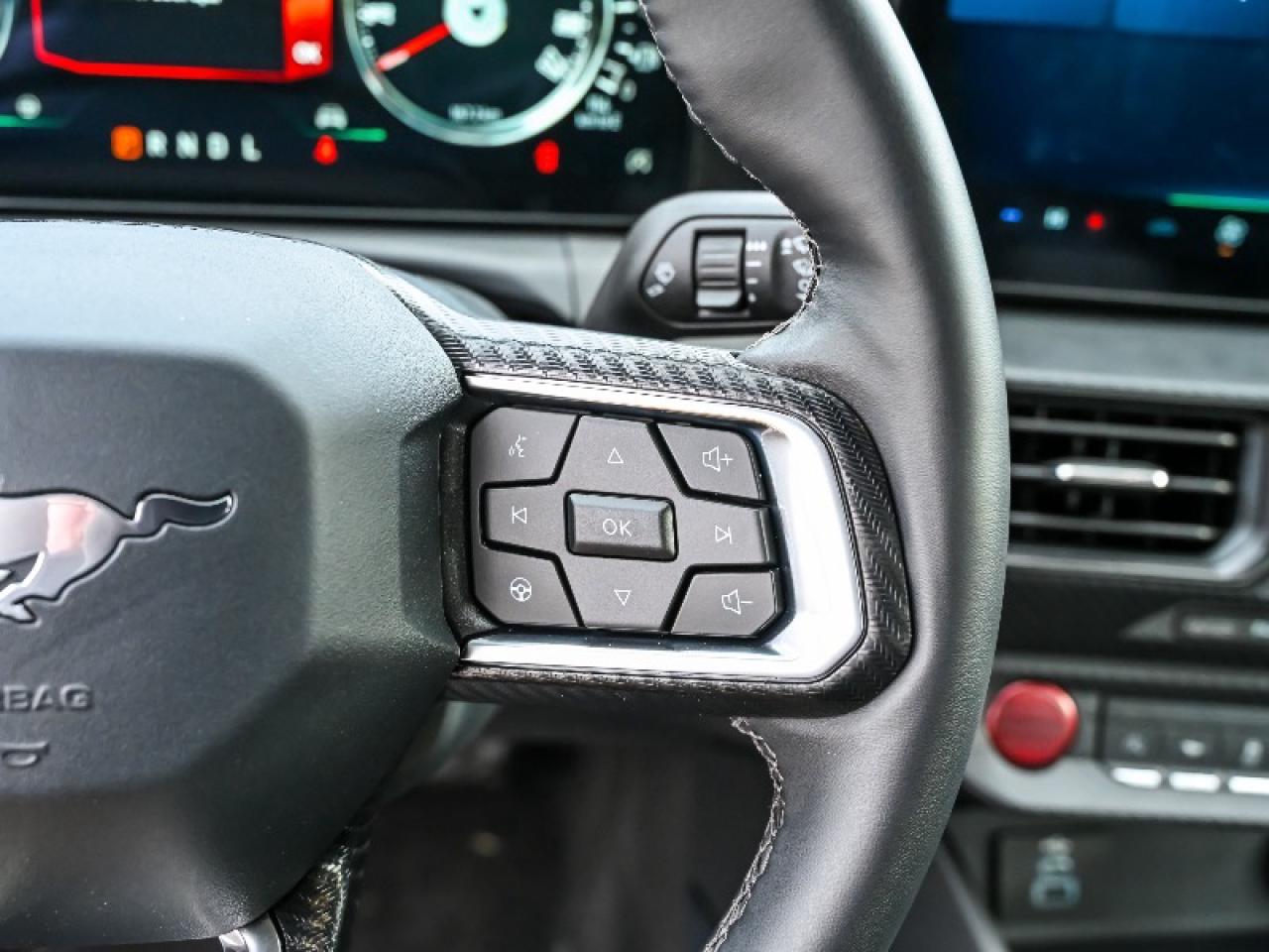 2025 Ford Mustang EcoBoost Photo