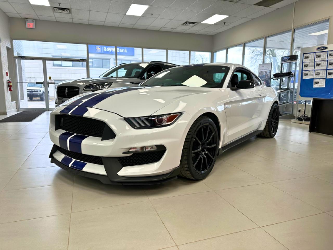 Used 2016 Ford Mustang SHELBY | GT350 | MANUAL | RARE ONLY 35, 471 KMS for sale in Brantford, ON