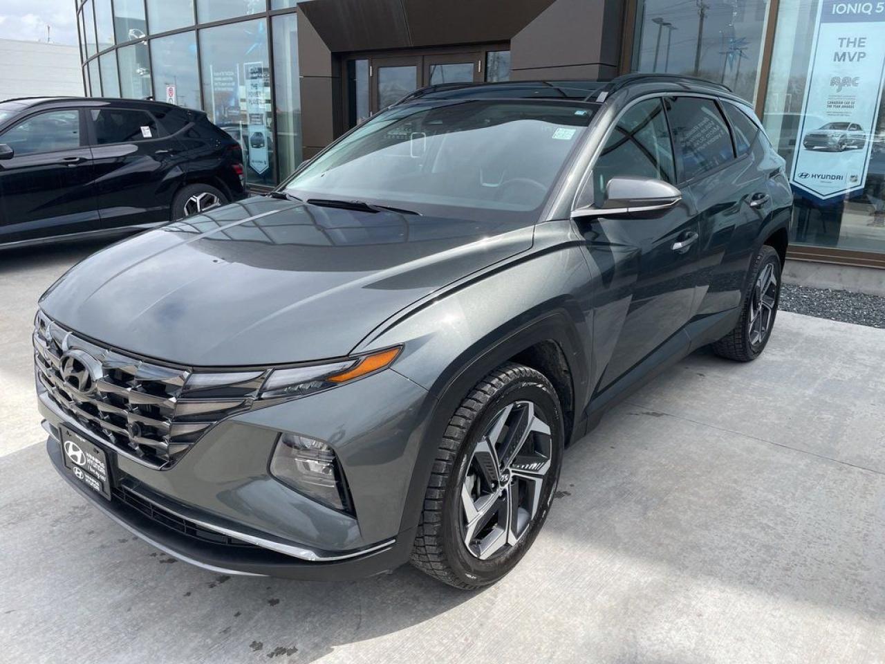 Used 2023 Hyundai Tucson Hybrid Luxury for sale in Winnipeg, MB