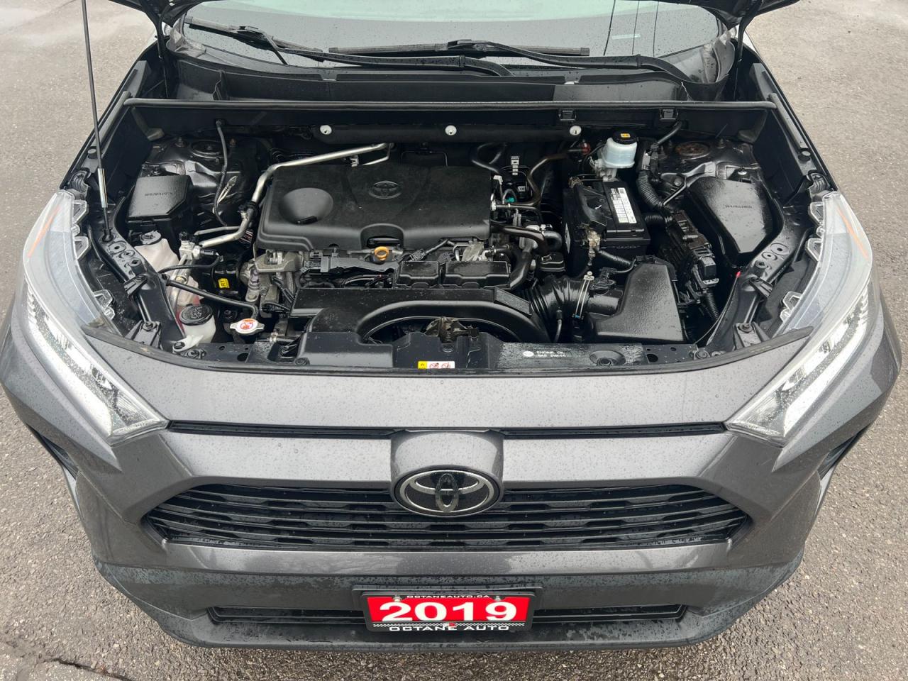 2019 Toyota RAV4 XLE AWD - Photo #6