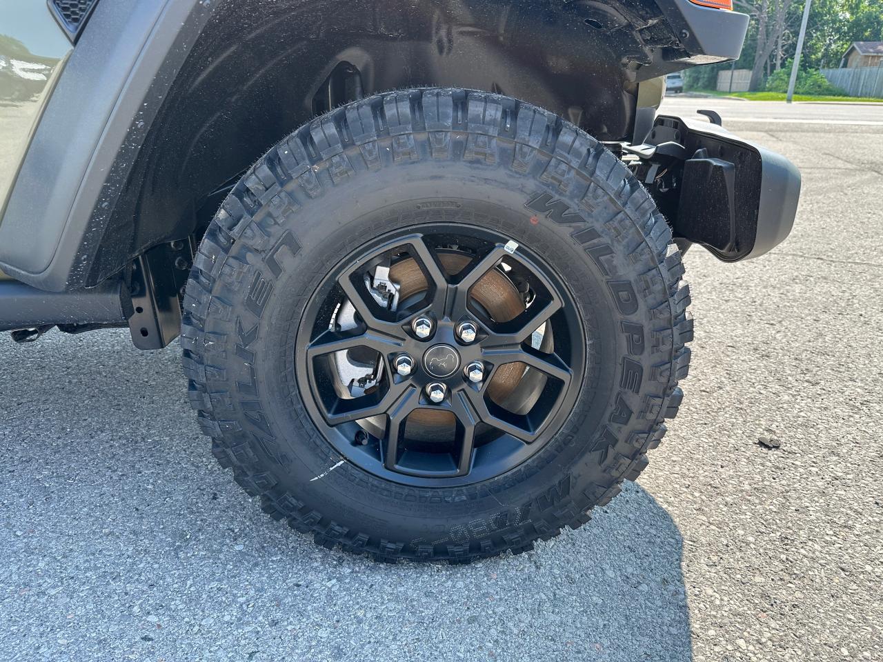 2025 Jeep Wrangler Willys Photo