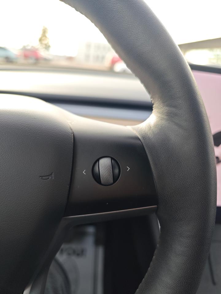 2021 Tesla Model Y  - Photo #20