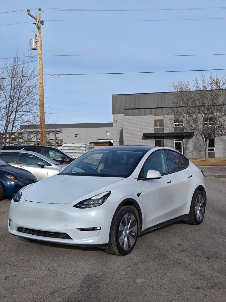2021 Tesla Model Y  - Photo #2